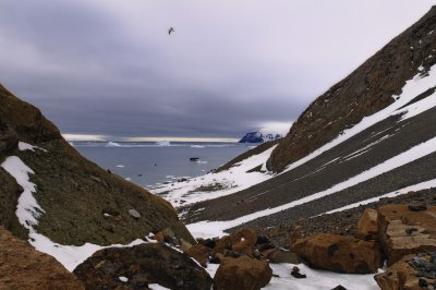 Antarctica 0031 Brown Bluff.jpg