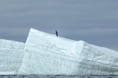 Antarctica 0040 Devil Island.jpg