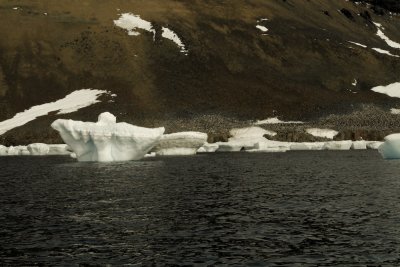 Antarctica 0056 Devil Island.jpg