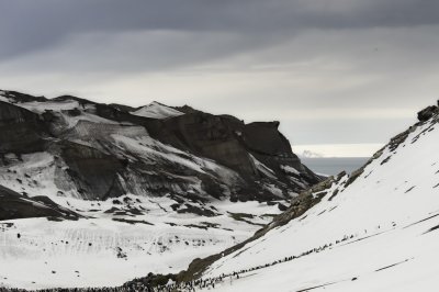 Antarctica 0112 Baily Head.jpg