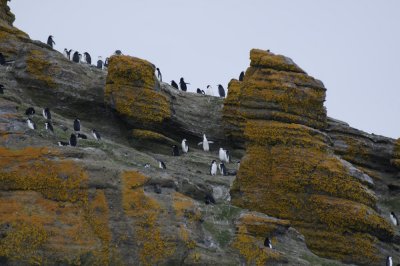 Antarctica 0113 Baily Head.jpg