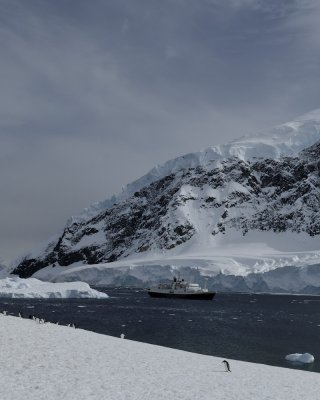 Antarctica 0136 Neko Harbour.jpg