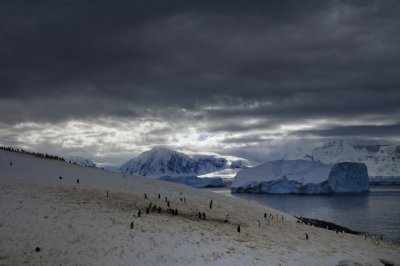 Antarctica 0184 Useful Islands.jpg