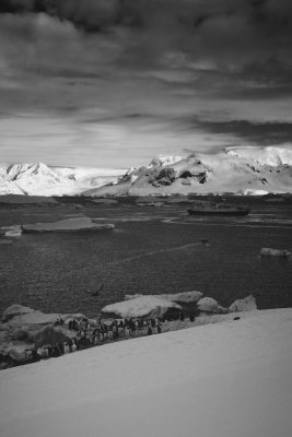 Antarctica 0196 Useful Islands.jpg