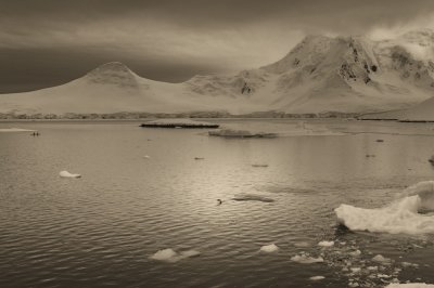 Antarctica 0227 Port Lockroy.jpg