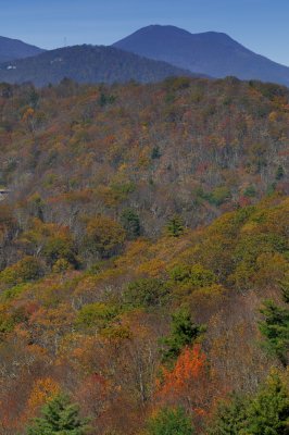 Blue Ridge-1.jpg