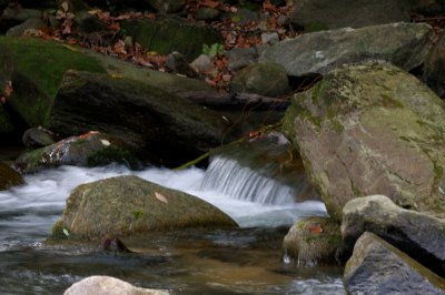 Blue Ridge-115.jpg