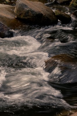 Blue Ridge-116.jpg