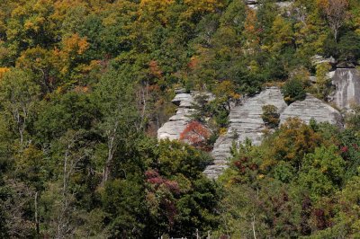 Blue Ridge-124.jpg