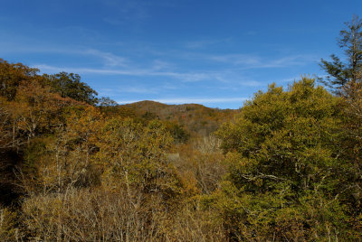 Blue Ridge-16.jpg