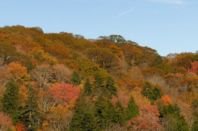 Blue Ridge-17.jpg