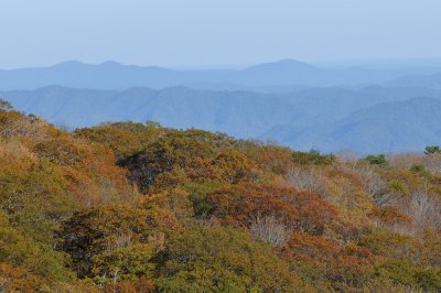 Blue Ridge-19.jpg