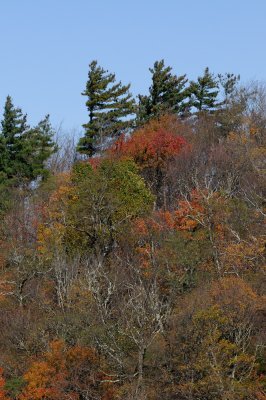 Blue Ridge-2.jpg