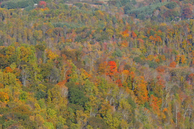 Blue Ridge-24.jpg