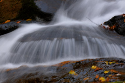 Blue Ridge-26.jpg