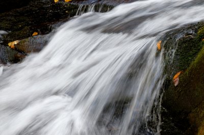 Blue Ridge-39.jpg
