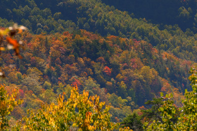 Blue Ridge-71.jpg
