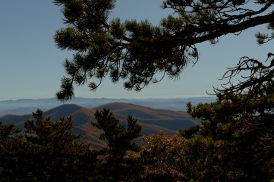 Blue Ridge-74.jpg