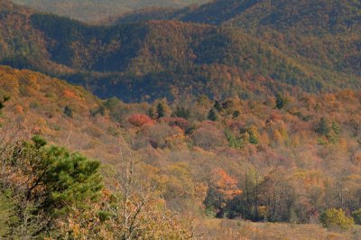 Blue Ridge-75.jpg