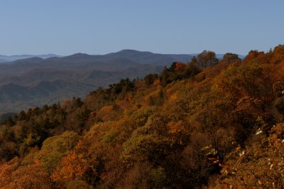 Blue Ridge-77.jpg