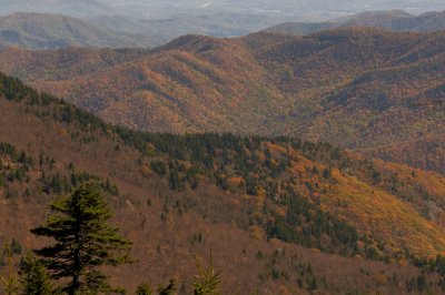 Blue Ridge-81.jpg