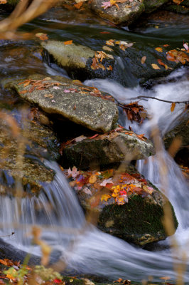Blue Ridge-91.jpg