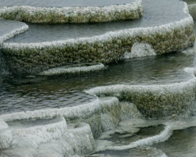 Yellowstone_2008_0007.jpg