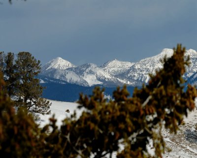 Yellowstone_2008_0036.jpg