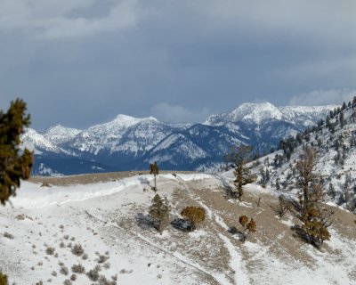 Yellowstone_2008_0037.jpg