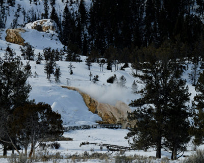 Yellowstone_2008_0038.jpg