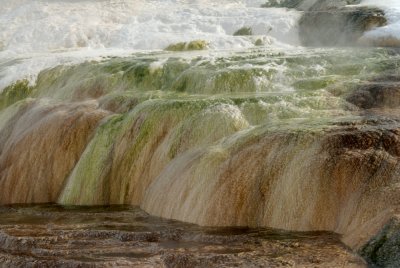 Yellowstone_2008_0045.jpg