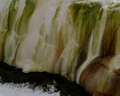 Yellowstone_2008_0078.jpg