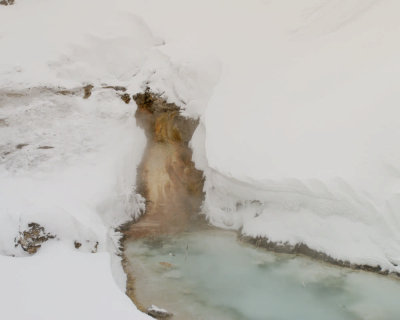 Yellowstone_2008_0115.jpg