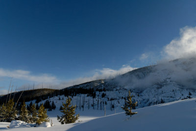 Yellowstone_2008_0121.jpg