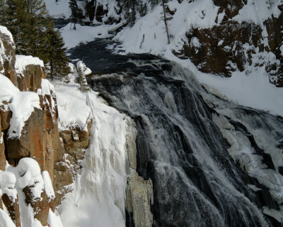 Yellowstone_2008_0138.jpg