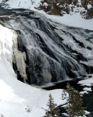 Yellowstone_2008_0139.jpg