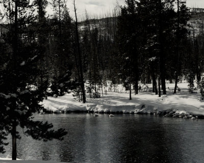 Yellowstone_2008_0148.jpg