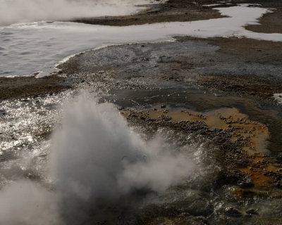 Yellowstone_2008_0156.jpg