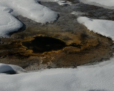 Yellowstone_2008_0159.jpg