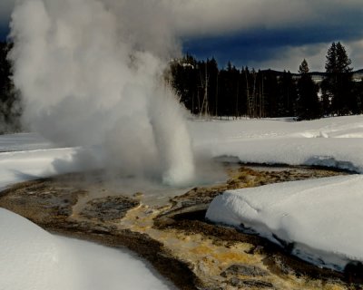 Yellowstone_2008_0164.jpg