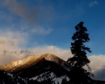 Yellowstone_2008_0181.jpg