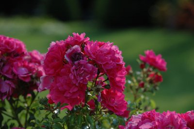 g3/93/852293/3/115243853.IcOpOmzu.jpg
