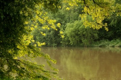 june_nature