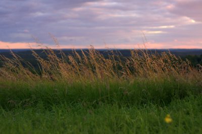 IMG_3847.jpg