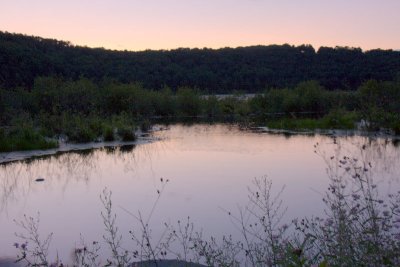 IMG_3891.jpg