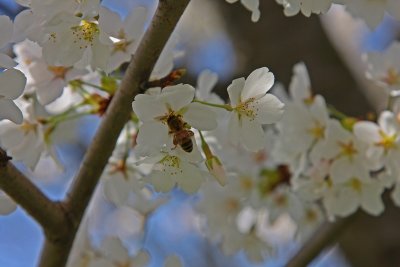 IMG_0159 copy.jpg