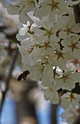 IMG_0164 111copy.jpg