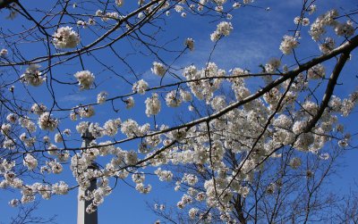 IMG_0169 copy.jpg