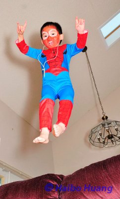 Spiderman to the Rescue.jpg