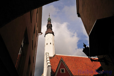 g3/93/895893/3/120001684.UELoHZE3.jpg